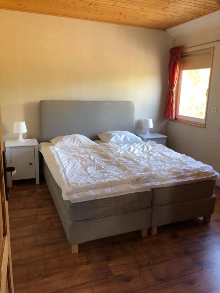 Apartamenty Beata Wiselka Exterior photo